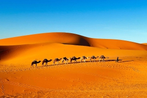 Von Fes: 2-tägige Wüstentour nach Marrakesch mit Luxuscamp