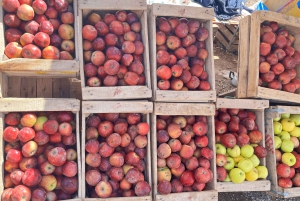 Von Fes: 2-tägige Wüstentour nach Marrakesch mit Luxuscamp