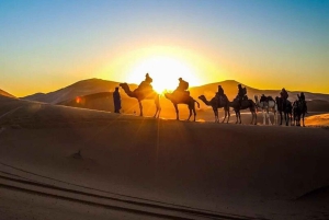 Ab Fes: 2-tägige Luxus-Wüstentour nach Marrakesch und zurück nach Fes