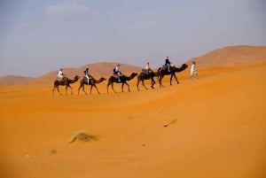 Au départ de Fès : excursion de 2 jours dans le désert de Merzouga avec tente de luxe et dîner