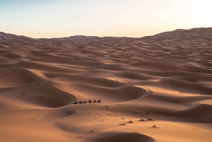 Von Fes: 2-tägige Wüstentour nach Merzouga mit Luxuszelt und Abendessen