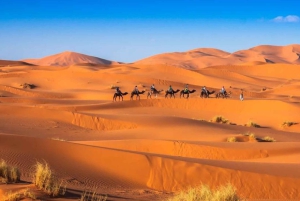 Von Fes: 2-tägige Wüstentour nach Merzouga mit Luxuszelt und Abendessen