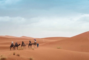 Fra Fes: 2-dages Sahara-tur med kamelridning og sandboarding