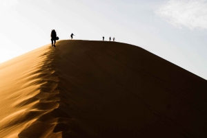 Fra Fes: 2-dages Sahara-tur med kamelridning og sandboarding