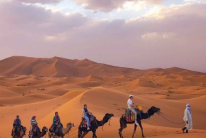 Fra Fes: 2-dages Sahara-tur med kamelridning og sandboarding