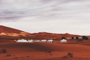Desde Fez: Excursión de 2 días por el Sáhara con paseo en camello y Sandboarding