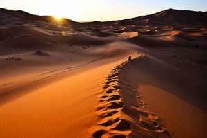 Da Fes: Tour nel deserto di 3 giorni a Marrakech con alloggio