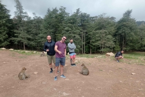 Fes: 3-dagars ökentur till Merzouga, Ouarzazate och Marrakech