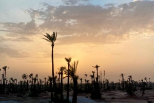 Fes: 3-dagars ökentur till Merzouga, Ouarzazate och Marrakech