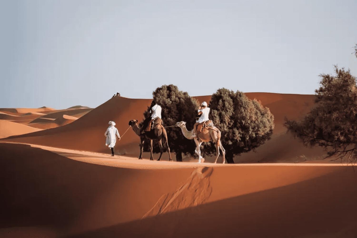 Fra Fes: 3-dagers luksuriøs ørkentur til Marrakech via Merzouga