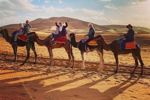 Fra Fes: 3-dagers luksuriøs ørkentur til Marrakech via Merzouga