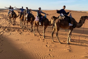 Fra Fes: 3-dagers luksuriøs ørkentur til Marrakech via Merzouga