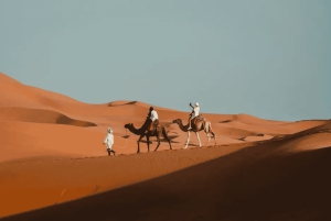 Fra Fes: 3-dagers luksuriøs ørkentur til Marrakech via Merzouga