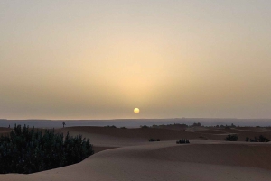 Fra Fes: 3-dagers luksuriøs ørkentur til Marrakech via Merzouga