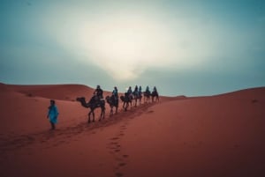 Desde Fez: Excursión de 3 días y 2 noches a Marrakech por el desierto
