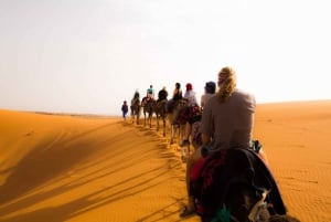 Fra Fes: 3 dager og 2 netters ørkentur til Marrakech