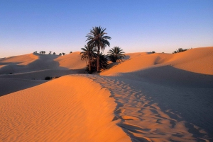 Da Fes:Viaggio nel deserto di 3 giorni e 2 notti a Marrakech via Merzouga
