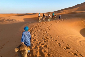 Fra Fes: 3 dager og 2 netter ørkentur til Marrakech via Merzouga