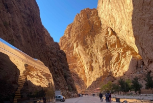 Из Феса: поездка по пустыне на 3 дня и 2 ночи в Марракеш через Мерзугу