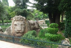 Au départ de Fès : Excursion de 4 jours à Marrakech via Merzouga et les Gorges