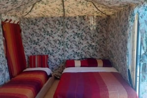 Au départ de Fès : Excursion de 4 jours à Marrakech via Merzouga et les Gorges