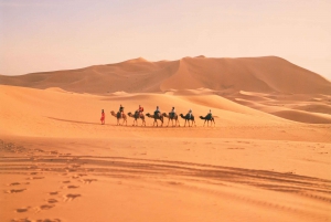 Fesistä : 4 päivän aavikkomatkat Merzougan aavikolle Marrakechiin