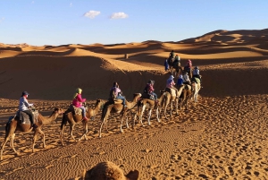 Da Fes : Tour di 4 giorni nel deserto di Merzouga fino a Marrakech