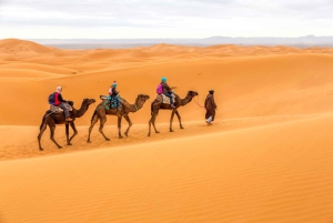 Da Fes : Tour di 4 giorni nel deserto di Merzouga fino a Marrakech