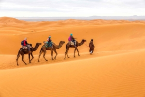 Au départ de Fès : Circuit de 4 jours dans le désert de Merzouga jusqu'à Marrakech