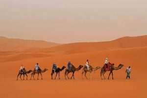 Från Fez: 3-dagars Saharaöknen och Marrakech Tour
