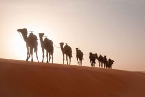 From Fes to Marrakech: 3-Day Sahara Desert Discovery Tour