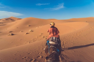 Au départ de Fès : Circuit de 2 jours dans le désert vers Marrakech via Merzouga