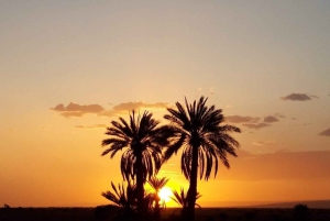 Ab Fes: 3-tägiger Ausflug in die Wüste Merzouga Luxuszelt