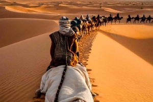 Vanuit Fez: 3-daagse excursie naar de Merzouga woestijn Luxe tent