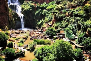 From Marrakech: 1-Day Group Trip to the Ouzoud Waterfalls