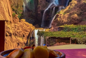 From Marrakech: 1-Day Group Trip to the Ouzoud Waterfalls