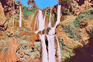 From Marrakech: 1-Day Group Trip to the Ouzoud Waterfalls