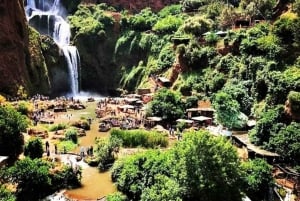 Viagem de 1 dia de Marraquexe às cascatas de Ouzoud