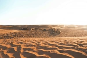 Fra Marrakech: 2-dagers eventyr i Zagora-ørkenen