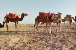 Z Marrakeszu: 2-dniowy i 1-nocny pobyt na pustyni Agafay