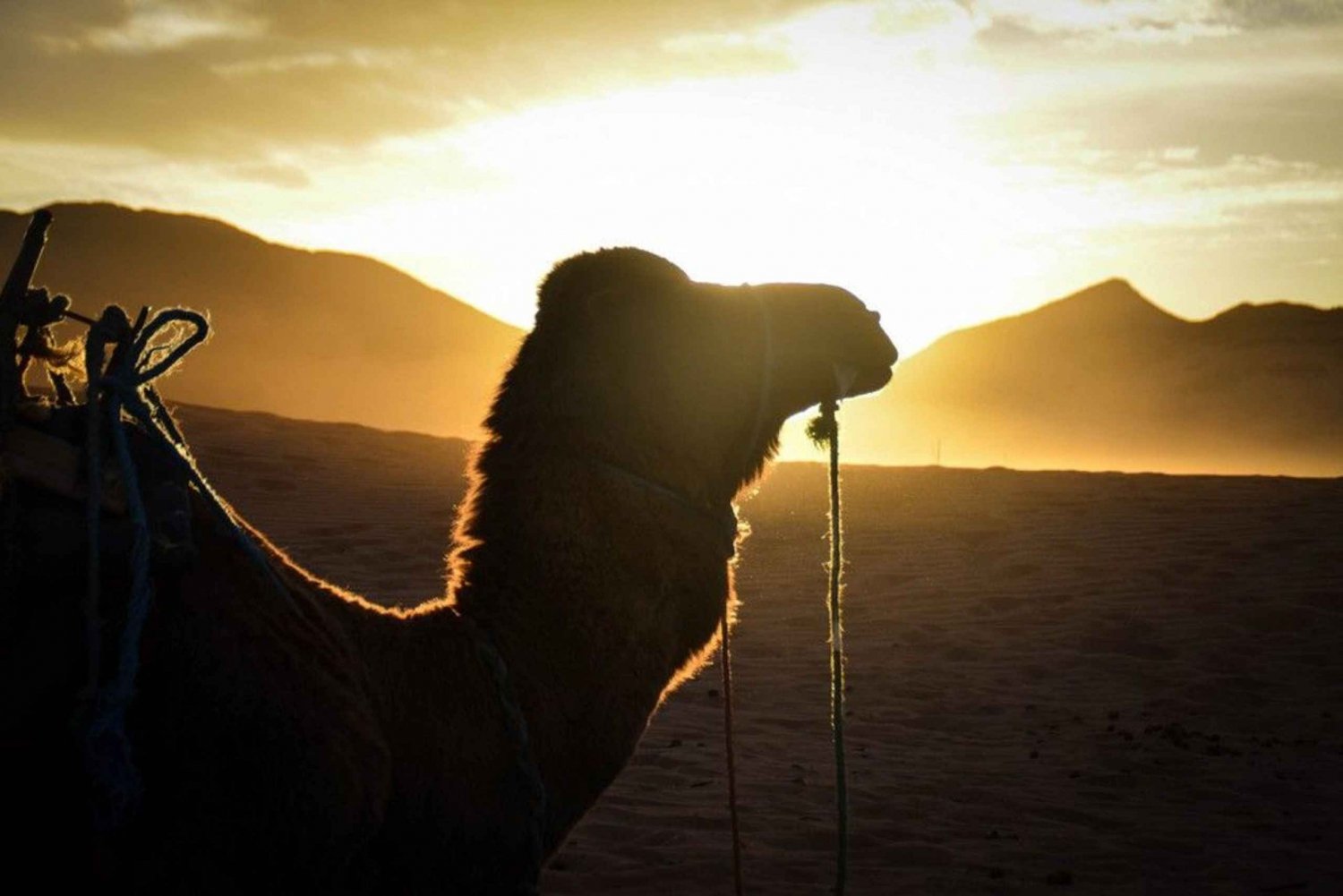 De Marrakech: Excursão de 2 dias ao deserto