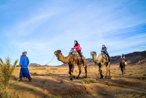 Vanuit Marrakech: 2-daagse woestijn excursie