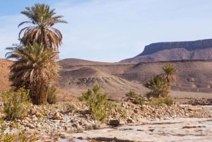 Marrakech: 2-Day Private Zagora Desert Tour with Camel Ride