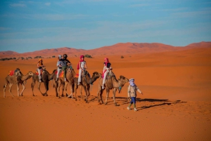 Fra Fez til Marrakech: 2 dage med luksuscamping og ørkenudflugt