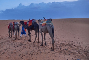 Kahden päivän aavikkoretki Marrakechista Fesiin tai Marrakechiin