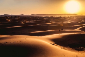 Kahden päivän aavikkoretki Marrakechista Fesiin tai Marrakechiin