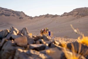 Au départ de Marrakech : Camp de 2 jours dans le désert de Zagoura avec balade à dos de chameau