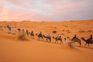 Z Marrakeszu: 2-dniowy obóz na pustyni Zagoura z przejażdżką na wielbłądzie