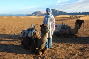 Marrakechista: Zagouran aavikkoleiri, jossa on kameliratsastus.
