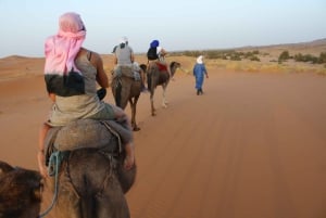 From Marrakech: 2-Day Sahara Tour to Zagora & Ait Ben Haddou